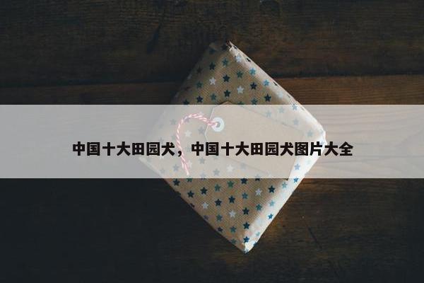 中国十大田园犬，中国十大田园犬图片大全