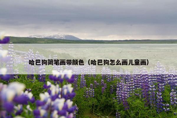 哈巴狗简笔画带颜色（哈巴狗怎么画儿童画）