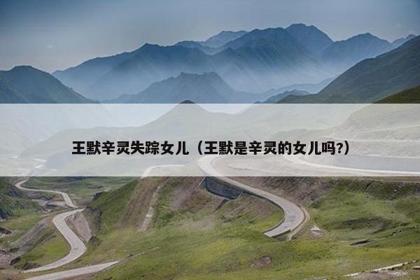王默辛灵失踪女儿（王默是辛灵的女儿吗?）