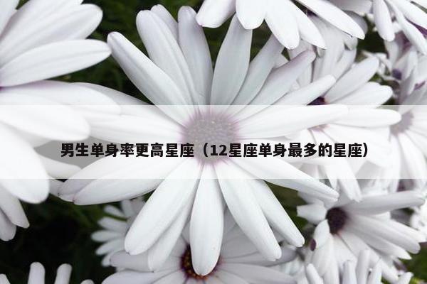 男生单身率更高星座（12星座单身最多的星座）