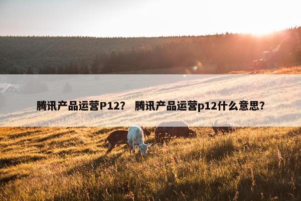 腾讯产品运营P12？ 腾讯产品运营p12什么意思？