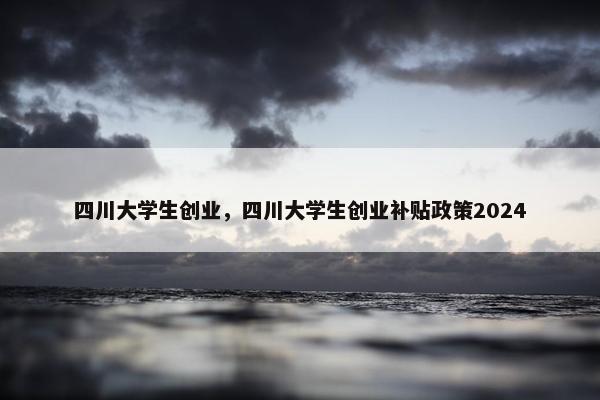 四川大学生创业，四川大学生创业补贴政策2024