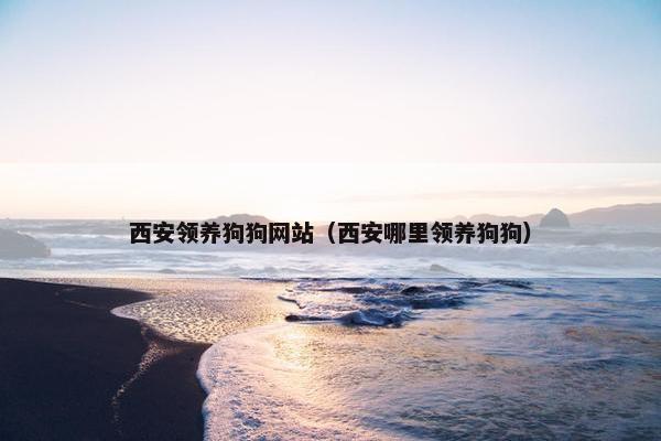 西安领养狗狗网站（西安哪里领养狗狗）