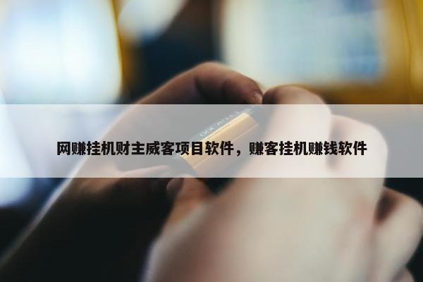 网赚挂机财主威客项目软件，赚客挂机赚钱软件