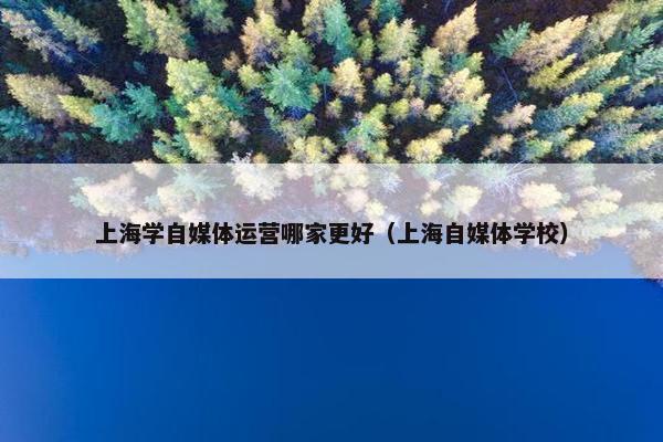 上海学自媒体运营哪家更好（上海自媒体学校）