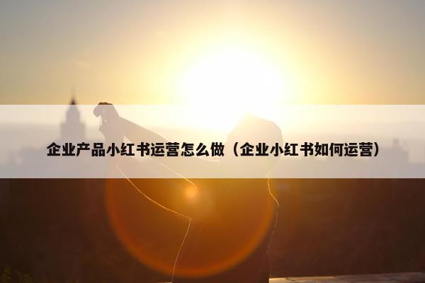 企业产品小红书运营怎么做（企业小红书如何运营）