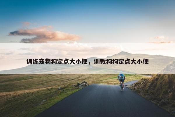 训练宠物狗定点大小便，训教狗狗定点大小便