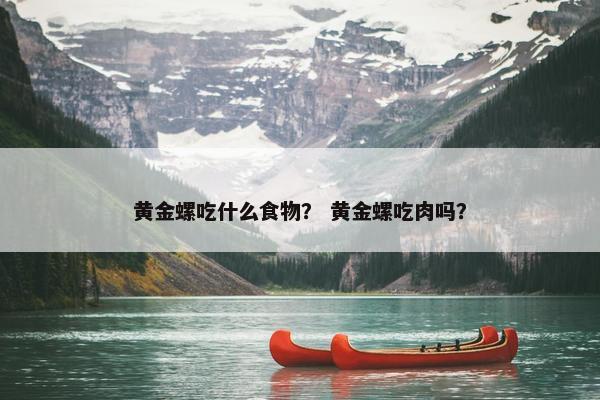 黄金螺吃什么食物？ 黄金螺吃肉吗？