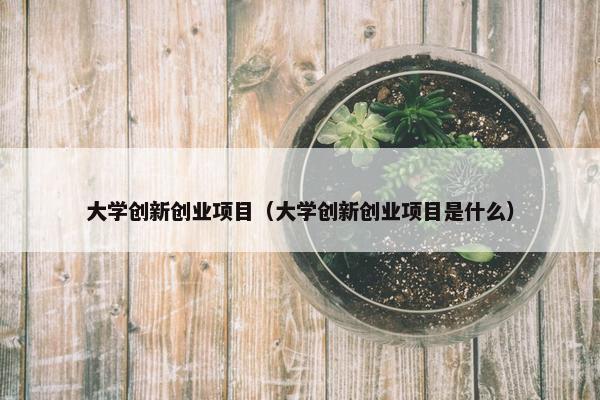 大学创新创业项目（大学创新创业项目是什么）