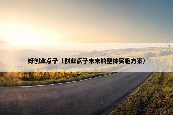 好创业点子（创业点子未来的整体实施方案）