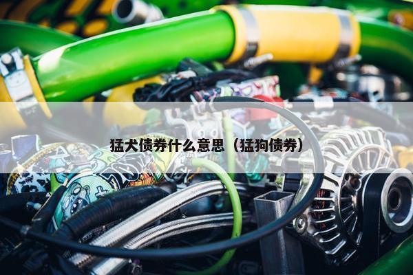 猛犬债券什么意思（猛狗债券）