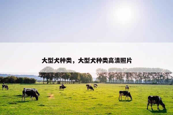 大型犬种类，大型犬种类高清照片