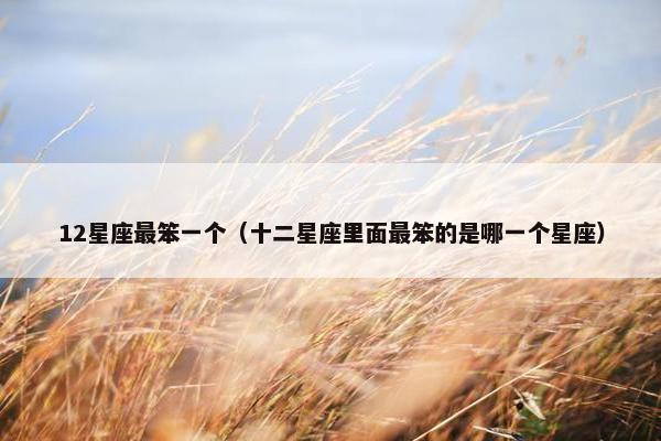 12星座最笨一个（十二星座里面最笨的是哪一个星座）