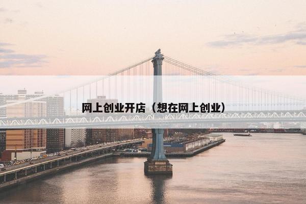 网上创业开店（想在网上创业）