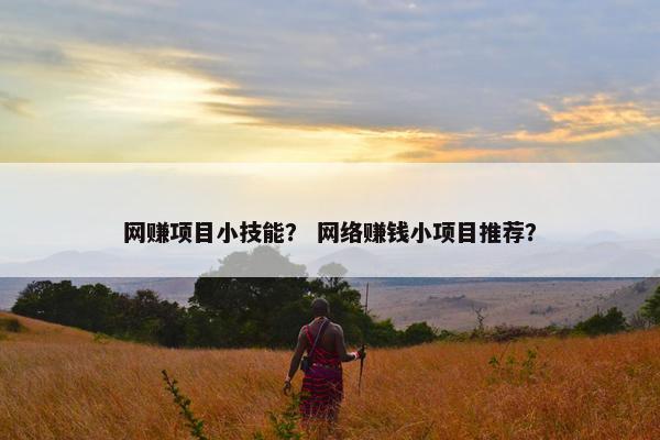 网赚项目小技能？ 网络赚钱小项目推荐？