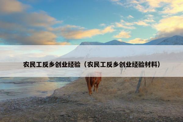 农民工反乡创业经验（农民工反乡创业经验材料）