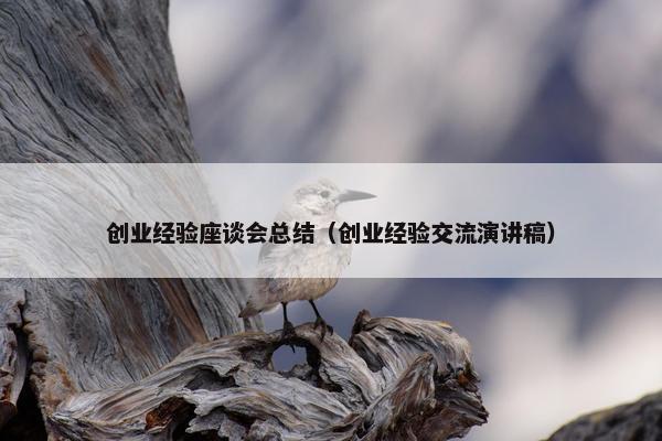 创业经验座谈会总结（创业经验交流演讲稿）