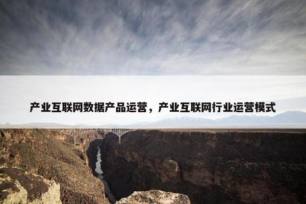 产业互联网数据产品运营，产业互联网行业运营模式