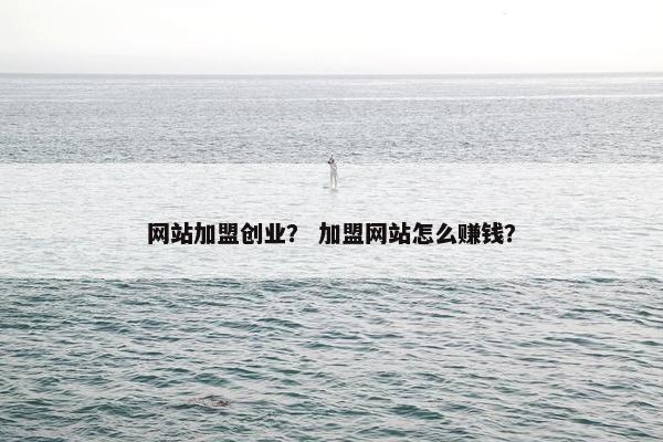 网站加盟创业？ 加盟网站怎么赚钱？