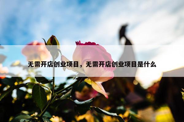 无需开店创业项目，无需开店创业项目是什么