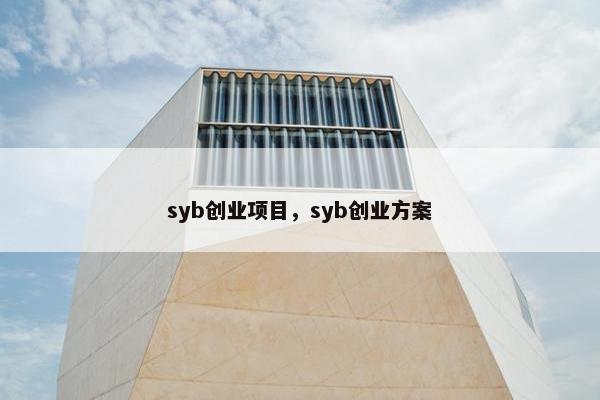 syb创业项目，syb创业方案