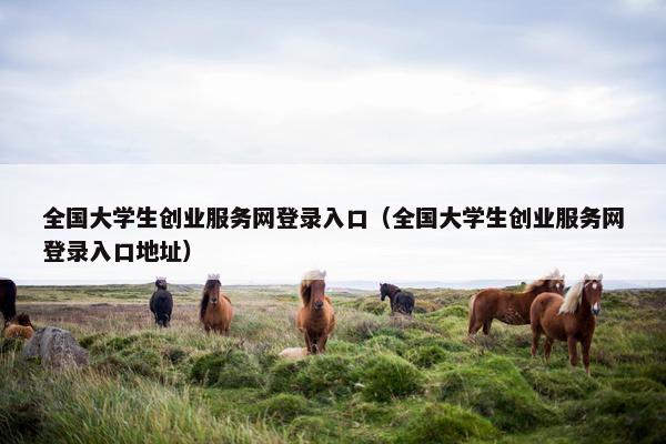 全国大学生创业服务网登录入口（全国大学生创业服务网登录入口地址）