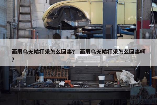 画眉鸟无精打采怎么回事？ 画眉鸟无精打采怎么回事啊？