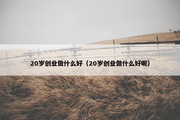 20岁创业做什么好（20岁创业做什么好呢）