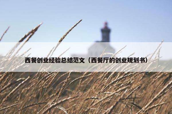 西餐创业经验总结范文（西餐厅的创业规划书）