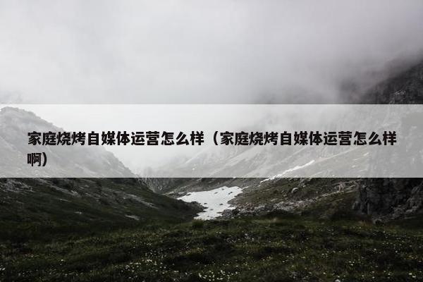 家庭烧烤自媒体运营怎么样（家庭烧烤自媒体运营怎么样啊）