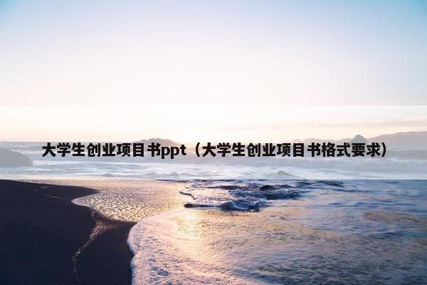大学生创业项目书ppt（大学生创业项目书格式要求）