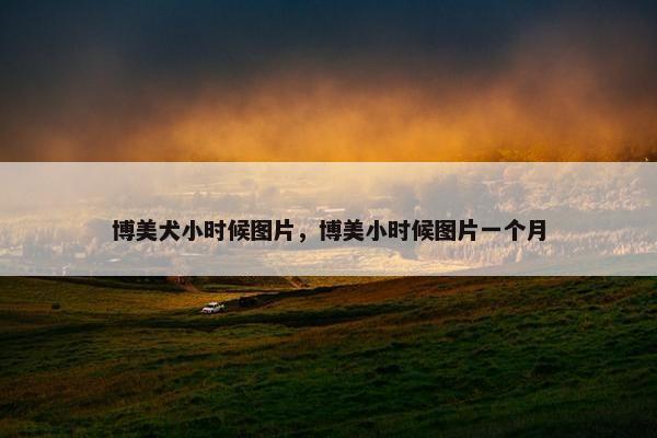 博美犬小时候图片，博美小时候图片一个月
