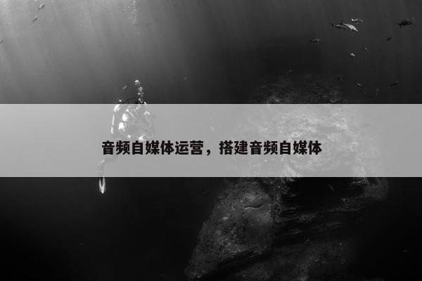 音频自媒体运营，搭建音频自媒体