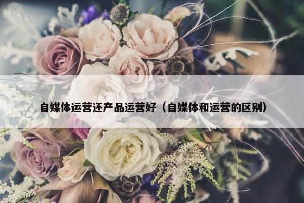 自媒体运营还产品运营好（自媒体和运营的区别）