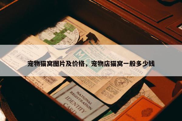 宠物猫窝图片及价格，宠物店猫窝一般多少钱