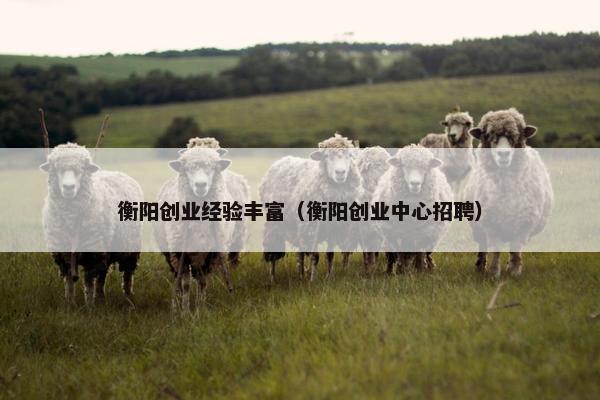 衡阳创业经验丰富（衡阳创业中心招聘）