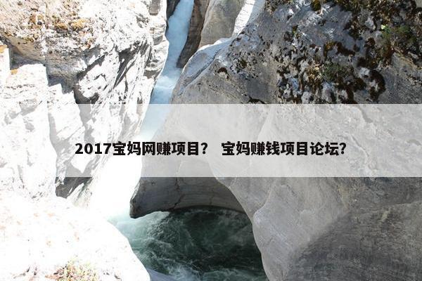 2017宝妈网赚项目？ 宝妈赚钱项目论坛？