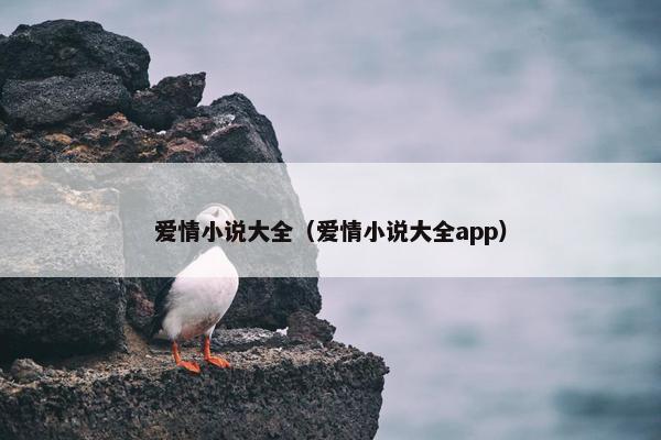 爱情小说大全（爱情小说大全app）