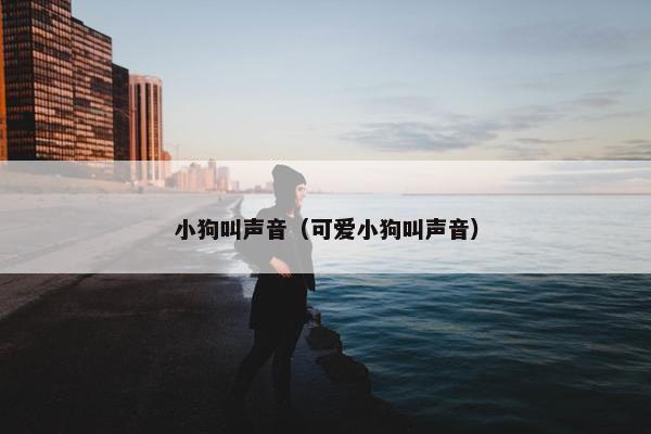 小狗叫声音（可爱小狗叫声音）