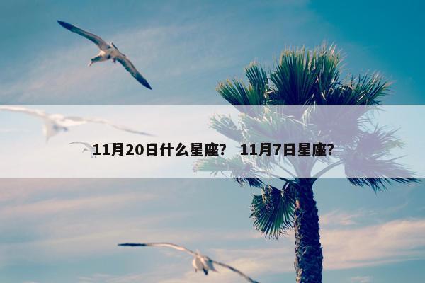 11月20日什么星座？ 11月7日星座？