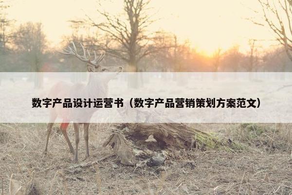 数字产品设计运营书（数字产品营销策划方案范文）