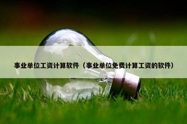 事业单位工资计算软件（事业单位免费计算工资的软件）