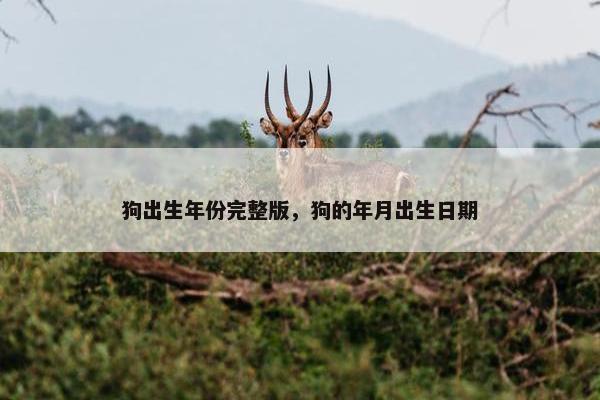 狗出生年份完整版，狗的年月出生日期
