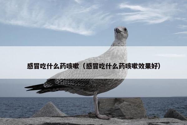 感冒吃什么药咳嗽（感冒吃什么药咳嗽效果好）