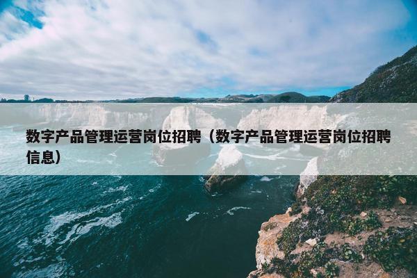 数字产品管理运营岗位招聘（数字产品管理运营岗位招聘信息）