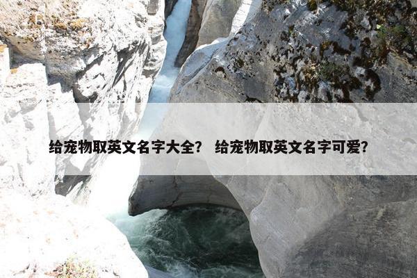 给宠物取英文名字大全？ 给宠物取英文名字可爱？