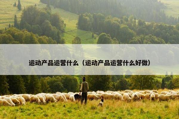运动产品运营什么（运动产品运营什么好做）