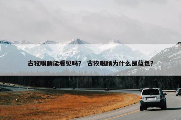 古牧眼睛能看见吗？ 古牧眼睛为什么是蓝色？