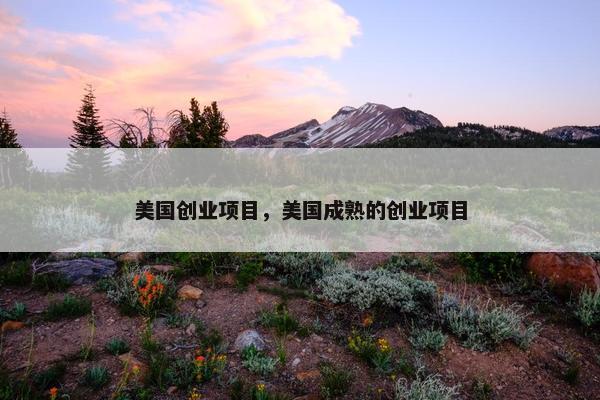 美国创业项目，美国成熟的创业项目