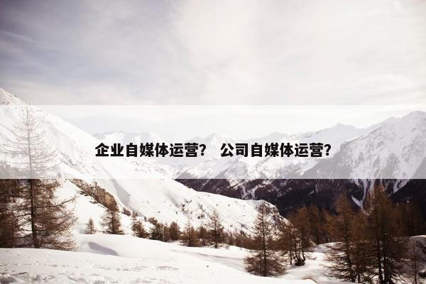 企业自媒体运营？ 公司自媒体运营？